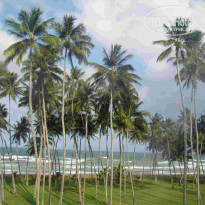 фото из отзыва ID 152344