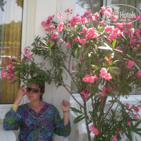 фото из отзыва ID 152739