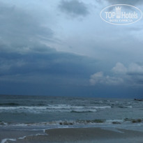 фото из отзыва ID 1520142