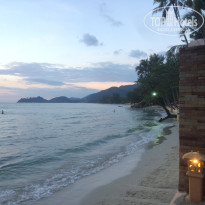 фото из отзыва ID 1520158