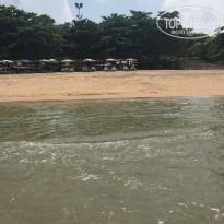 фото из отзыва ID 1520210