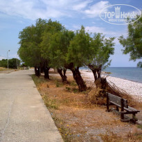 фото из отзыва ID 1520437