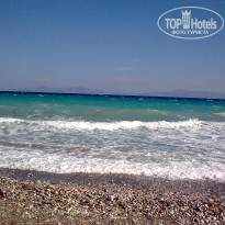 фото из отзыва ID 1520437