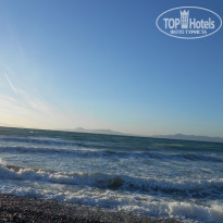 фото из отзыва ID 1520437