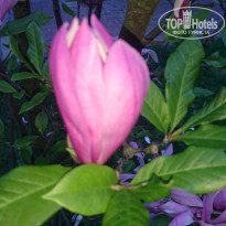 фото из отзыва ID 1520511