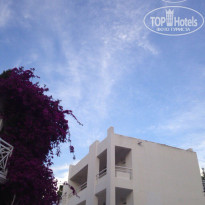 фото из отзыва ID 1520580