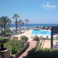 фото из отзыва ID 1520582