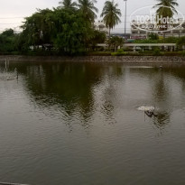 фото из отзыва ID 1520986