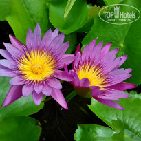 фото из отзыва ID 1521024