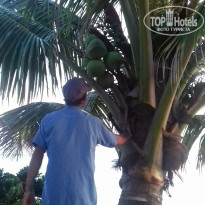 фото из отзыва ID 1521024