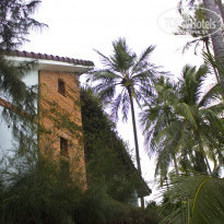 фото из отзыва ID 1521024