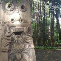 фото из отзыва ID 1521037