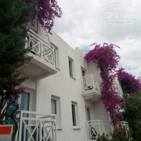 фото из отзыва ID 1521213