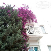 фото из отзыва ID 1521213