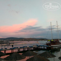 фото из отзыва ID 1521226