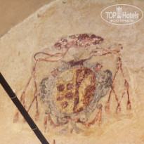 фото из отзыва ID 1521244