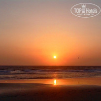 фото из отзыва ID 1521280