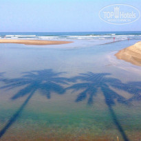 фото из отзыва ID 1521280