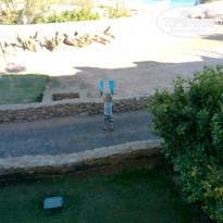 фото из отзыва ID 1521304