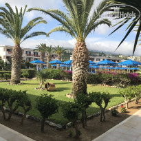 фото из отзыва ID 1521342