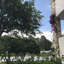 фото из отзыва ID 1521342