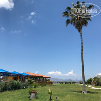 фото из отзыва ID 1521342