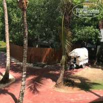 фото из отзыва ID 1521355