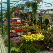 фото из отзыва ID 1520850