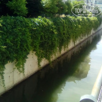 фото из отзыва ID 1520850