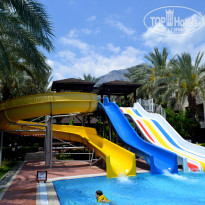 фото из отзыва ID 1521517