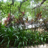 фото из отзыва ID 1521603