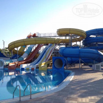 фото из отзыва ID 1520036