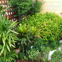 фото из отзыва ID 1521703