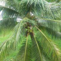 фото из отзыва ID 1521703