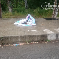 фото из отзыва ID 1521719