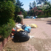 фото из отзыва ID 1521719