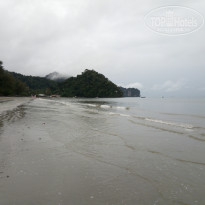 фото из отзыва ID 1521766