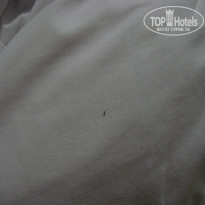 фото из отзыва ID 1521853