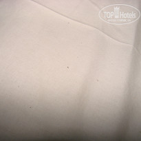 фото из отзыва ID 1521853