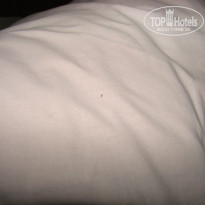 фото из отзыва ID 1521853