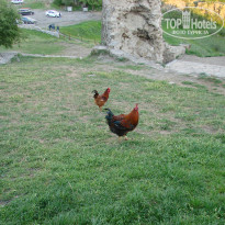 фото из отзыва ID 1521896