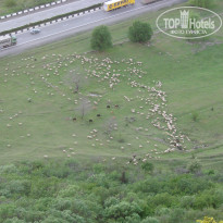 фото из отзыва ID 1521896