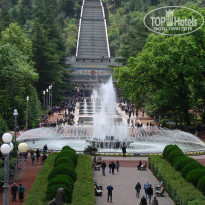 фото из отзыва ID 1521896