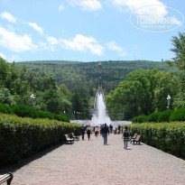 фото из отзыва ID 1521896