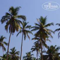 фото из отзыва ID 1522043