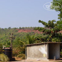 фото из отзыва ID 1522043