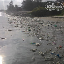 фото из отзыва ID 1522137