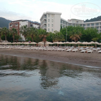 фото из отзыва ID 1522159