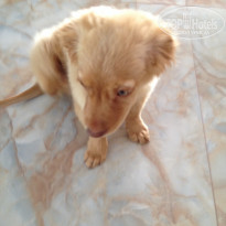 фото из отзыва ID 1522220