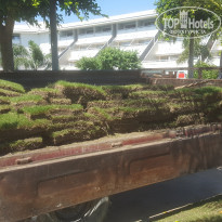 фото из отзыва ID 1522234